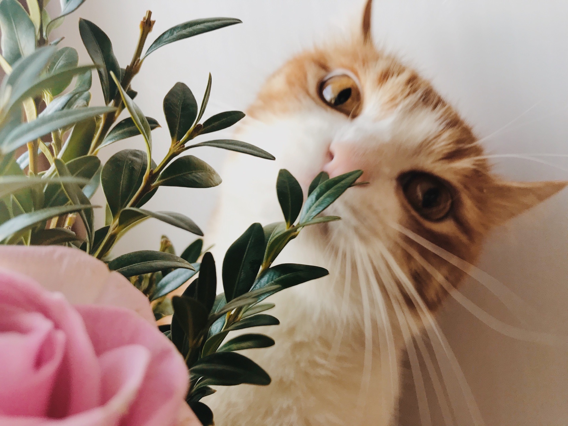 «Концессии» пытаются отсудить у детских садов 75 тысяч рублей