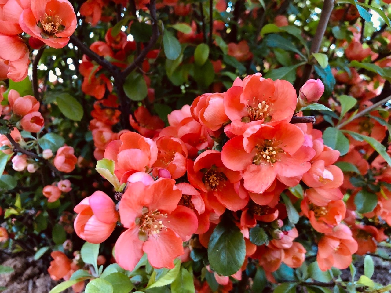 Правительство России объявило о выходных