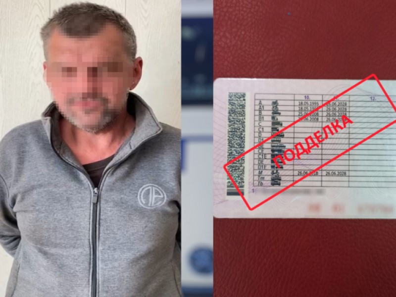 По Волгограду ездят водители с поддельными правами