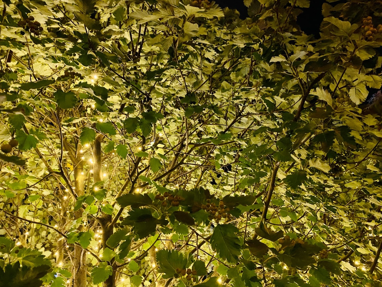 Жители четырех районов Волгограда остались без света 19 октября