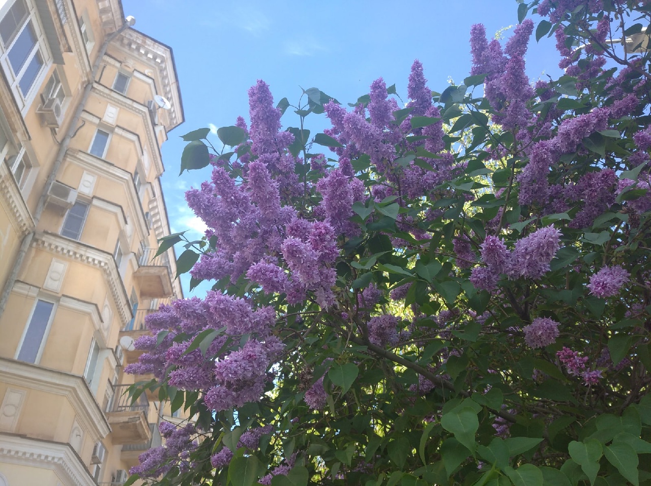 Первой послевоенной улице Волгограда вернут исторический вид 