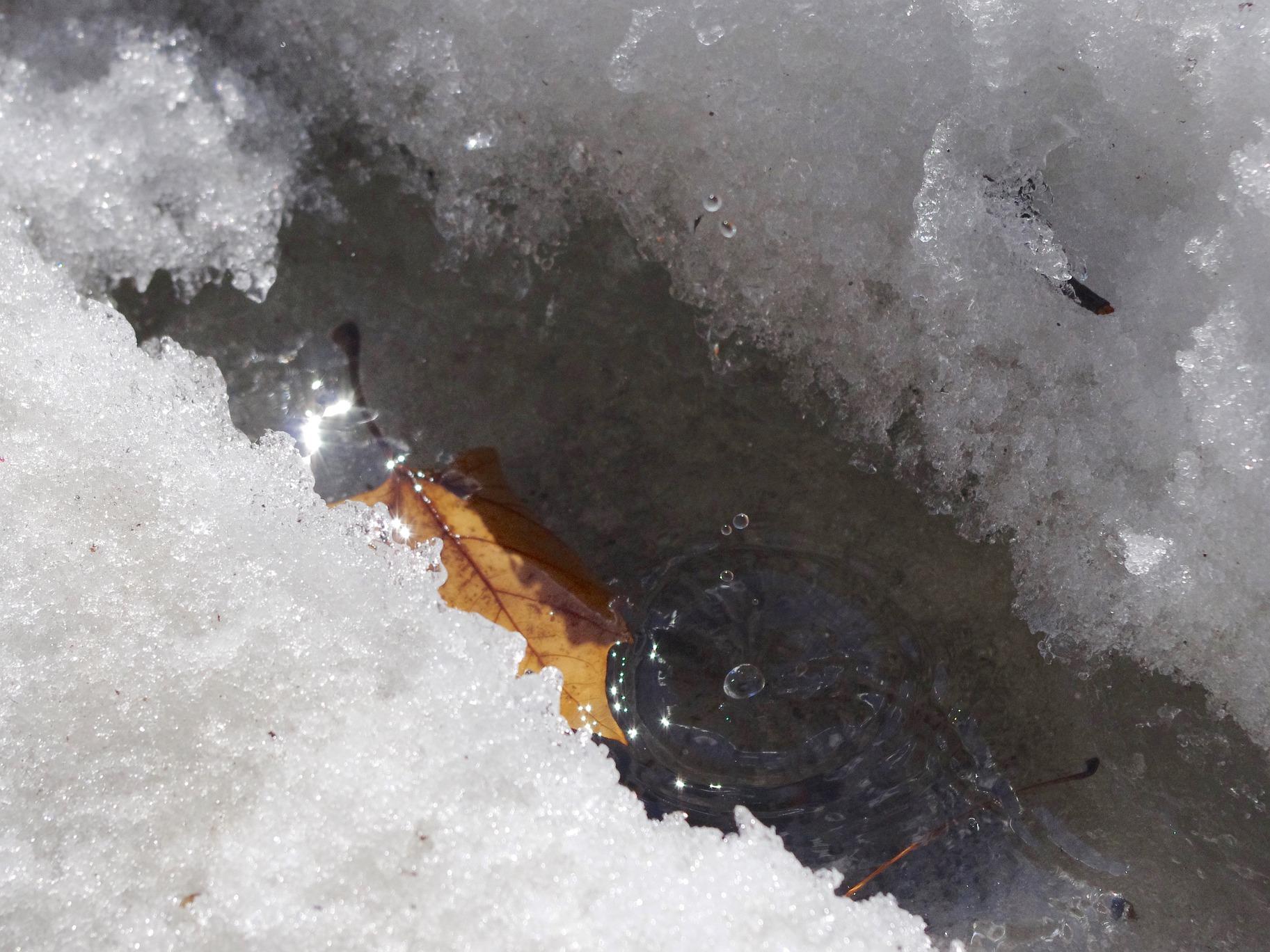 Коммунальная авария превратила микрорайон Волгограда в Венецию