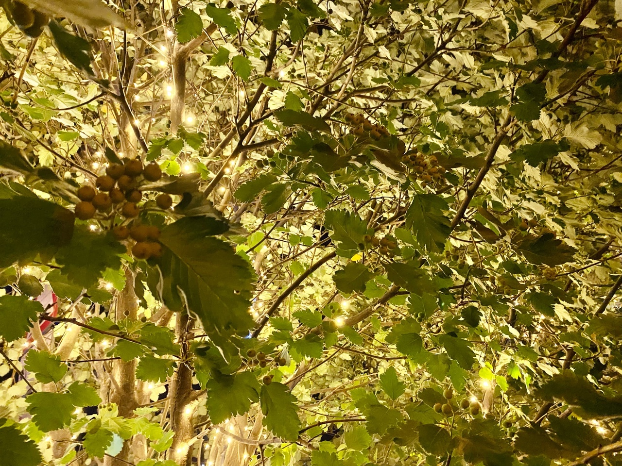 Пожилой волжанке выключили свет с молчаливого согласия ее умершего супруга