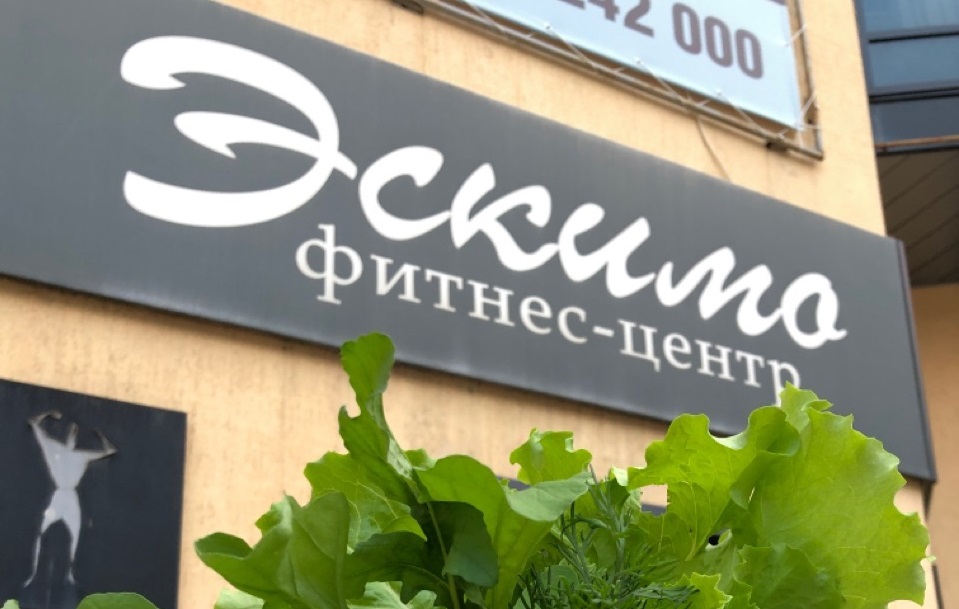 Соседний фитнес-клуб закрылся после пожара на рынке «Людмила» в Волжском