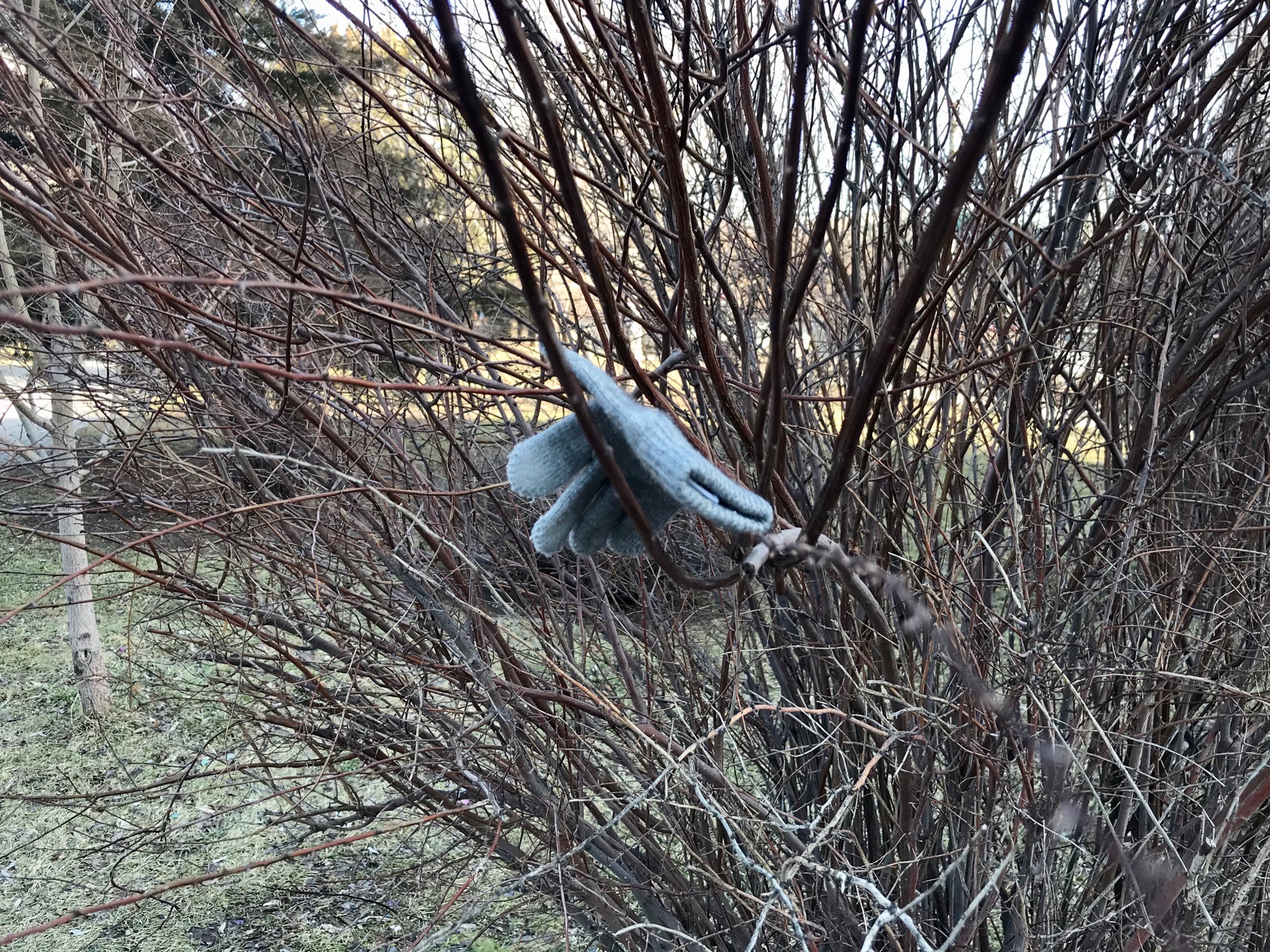 Детские площадки в Волгоградской области признаны смертельно опасными