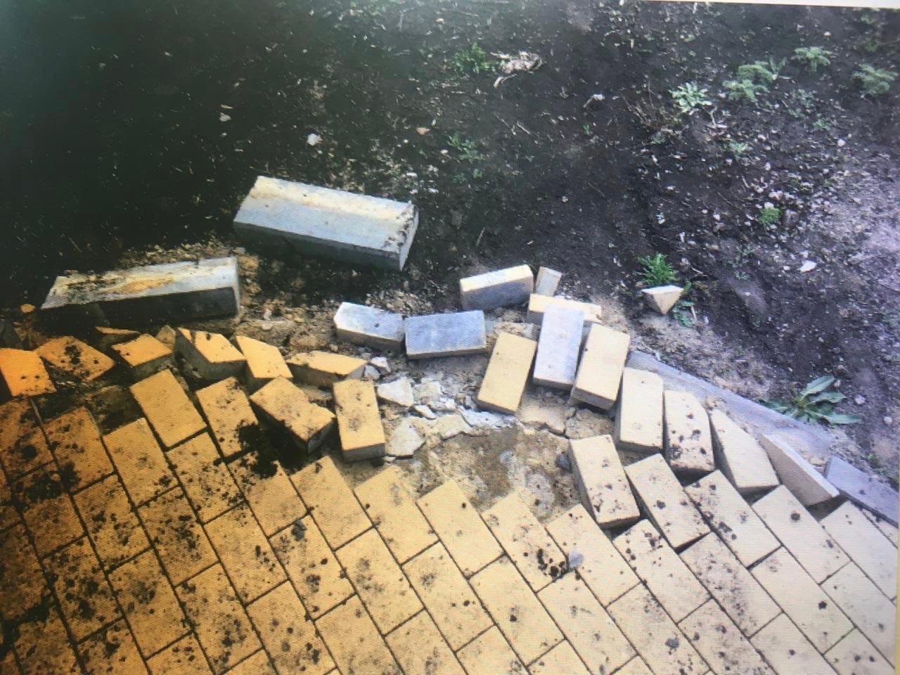 Волгоградец разгромил парк и напал на главу администрации