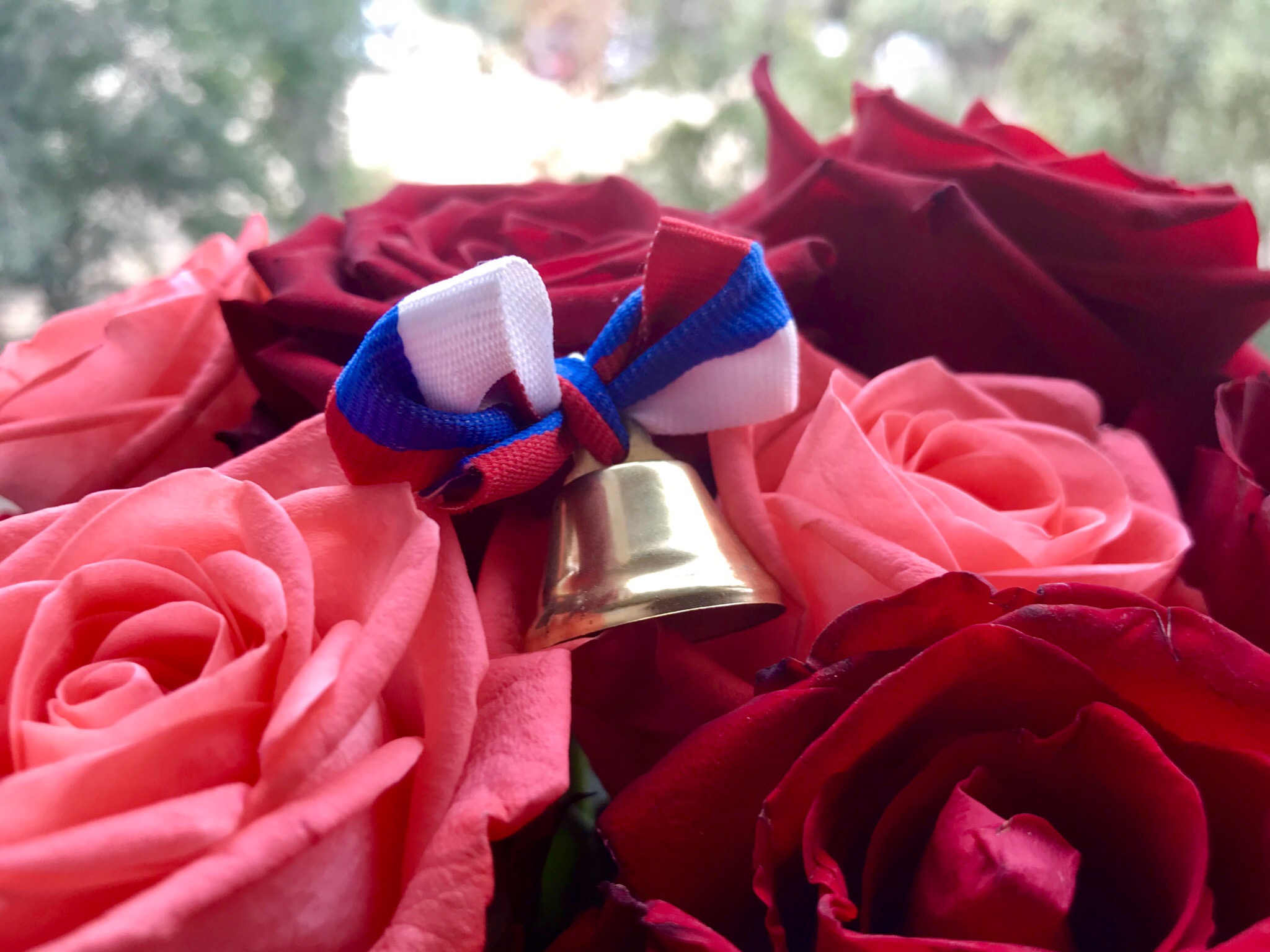 ЕГЭ-2026 пройдет в три этапа: старт — уже в марте