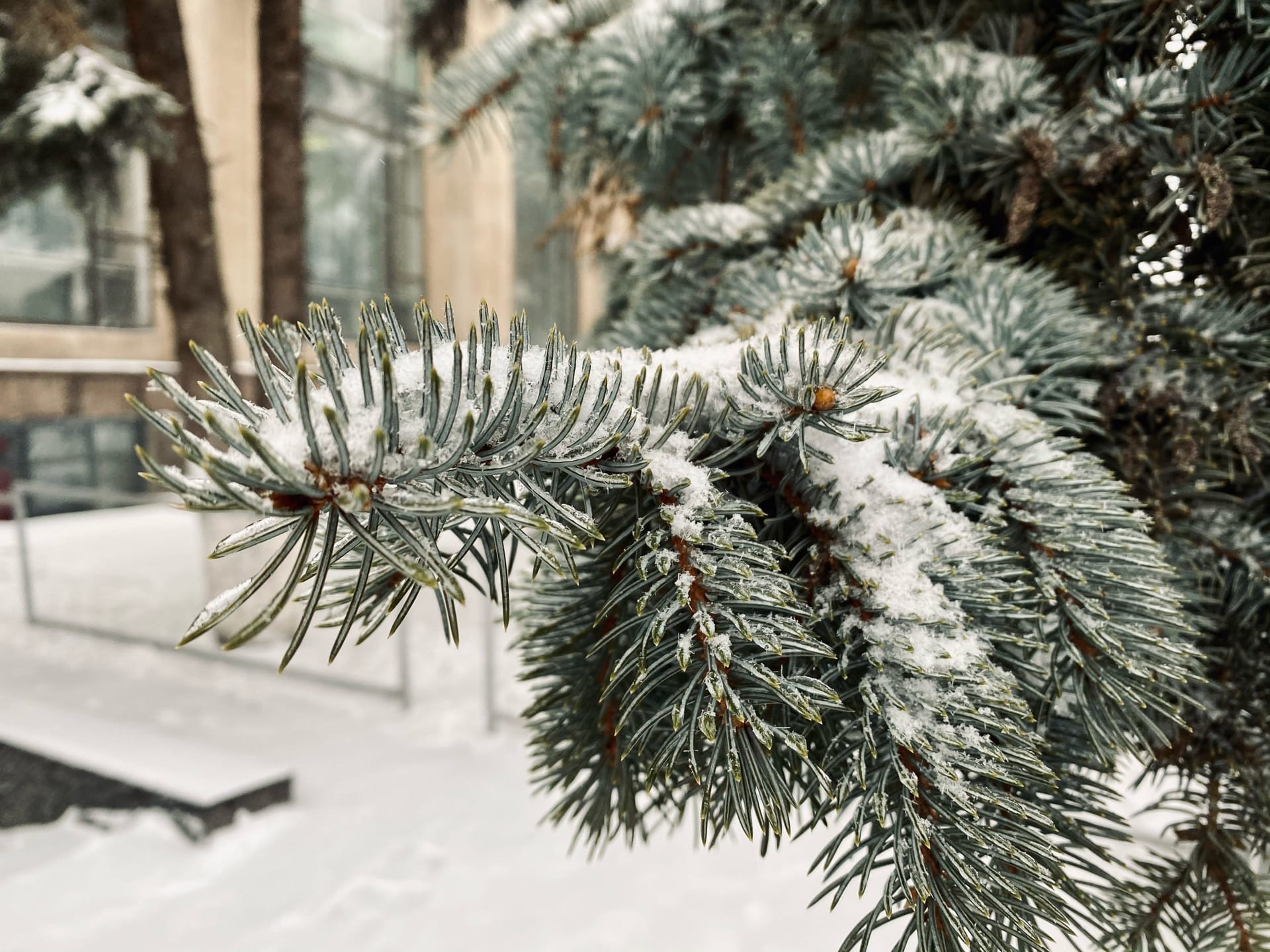 Сильнейший снегопад обрушился на Волгоградскую область