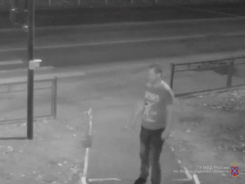 По видео ищут мужчину, который в ночи прыгал по Kia Rio волжанки