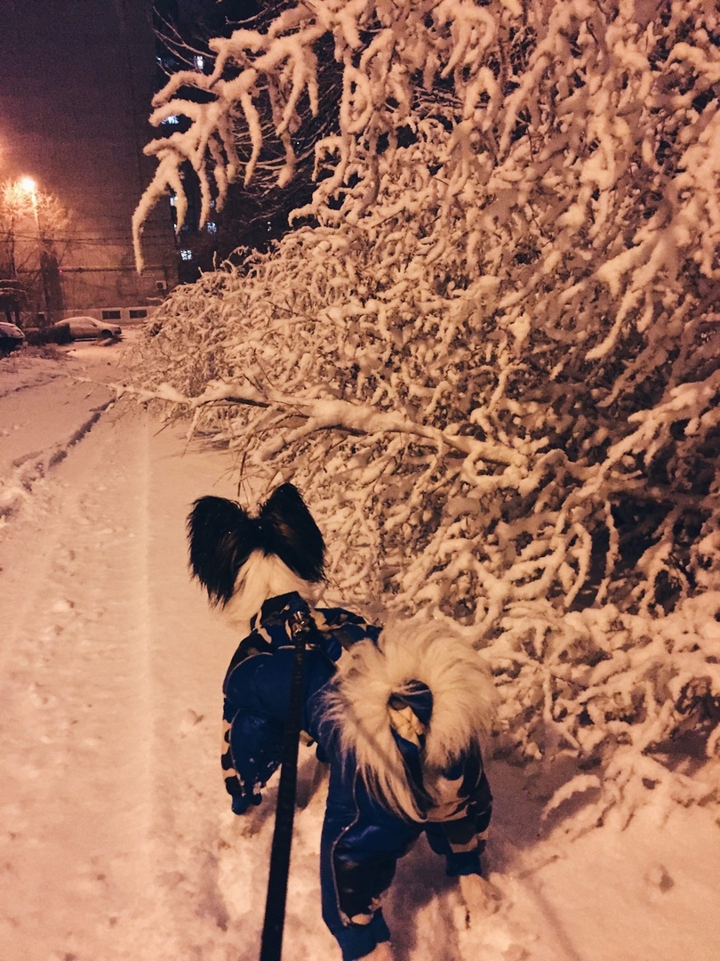 В первый день зимы в Волгоградскую область придет мороз