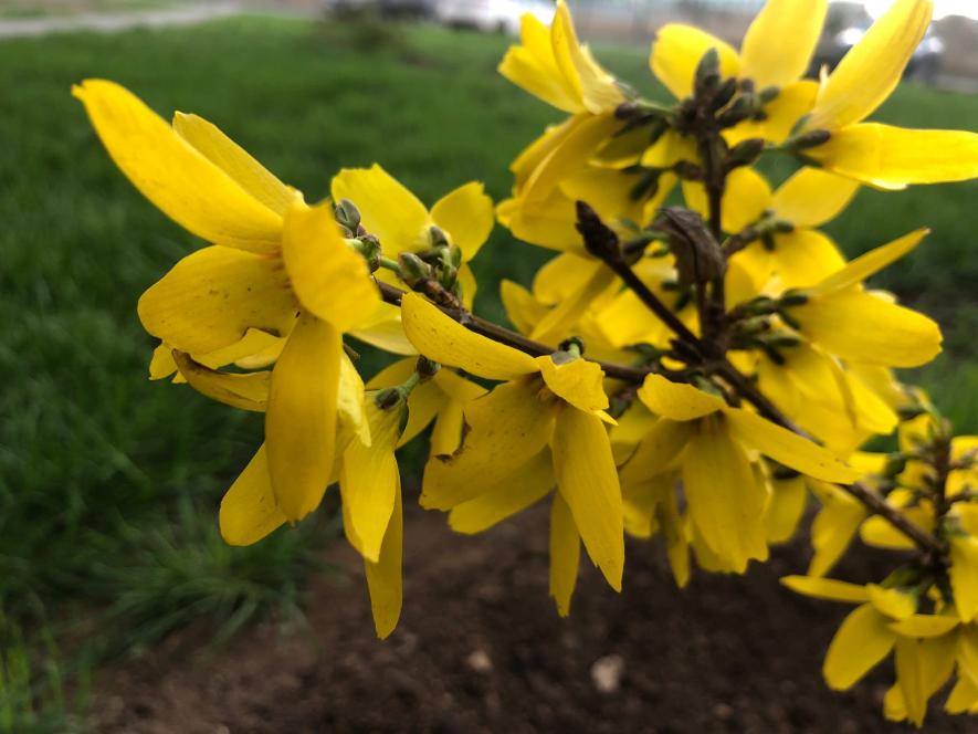 Маленькой Насте помогли сделать первый шаг