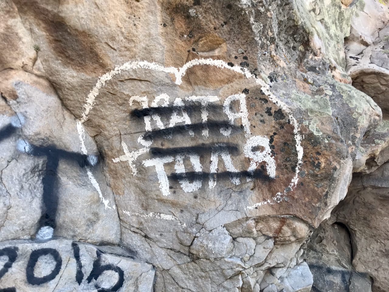 Волгоградец до полусмерти избил приятеля из-за просьбы дамы угостить ее пивом