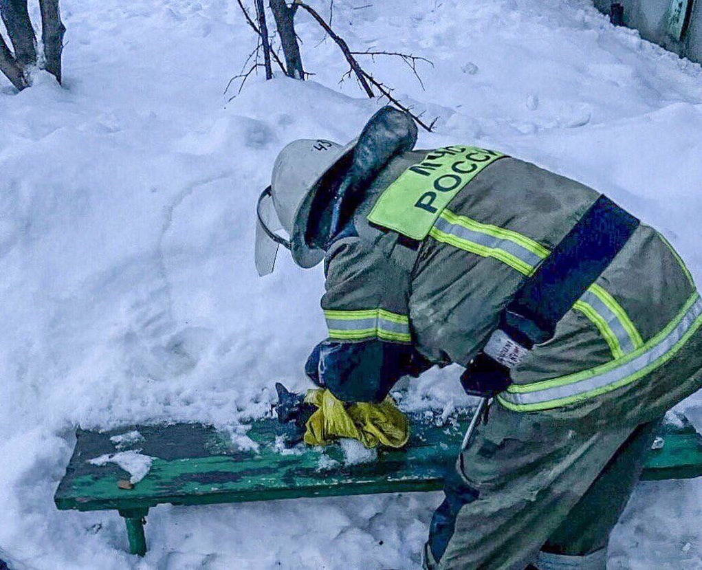 Спасли котенку и его хозяину жизнь волгоградские пожарные: видео