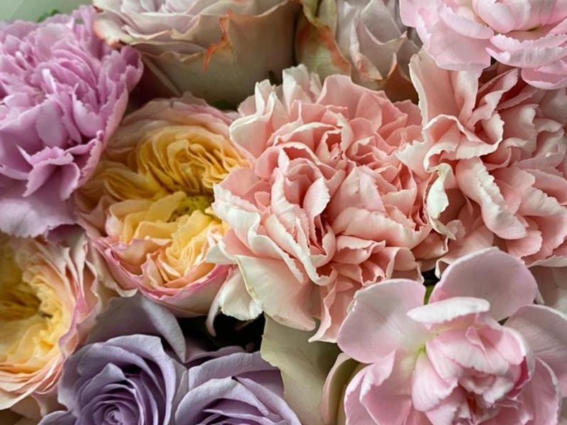 Двух сердец одно решение: в Кировском районе Волгограда облагораживают ЗАГС 