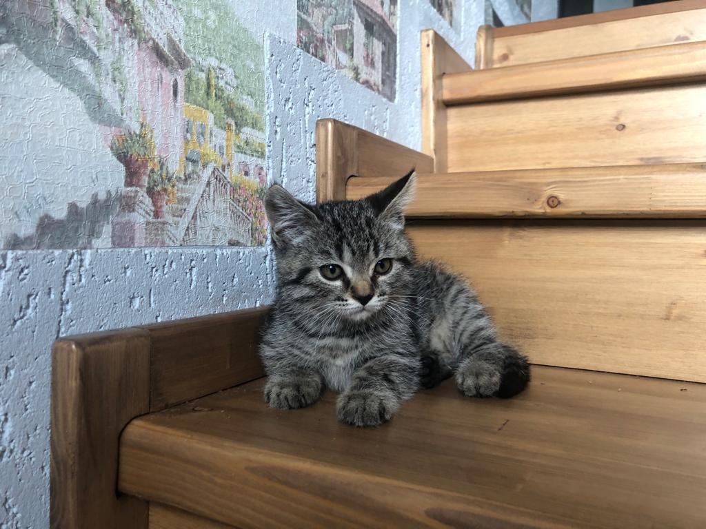 Рекордно низкая рождаемость зафиксирована в Волгоградской области