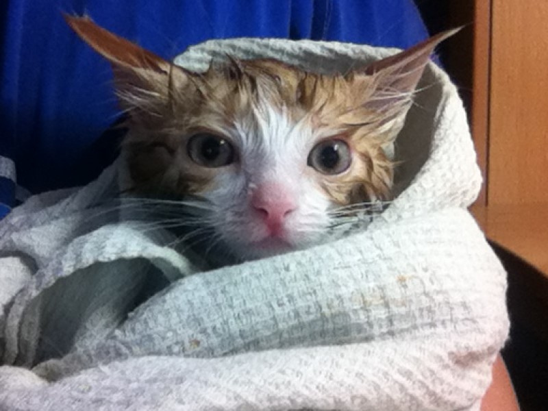 Без воды в летнюю жару сидят жители Волгоградской области