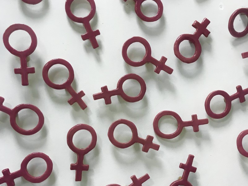 Волгоградские МГЕРеныши предпочли «Единую Россию» любви