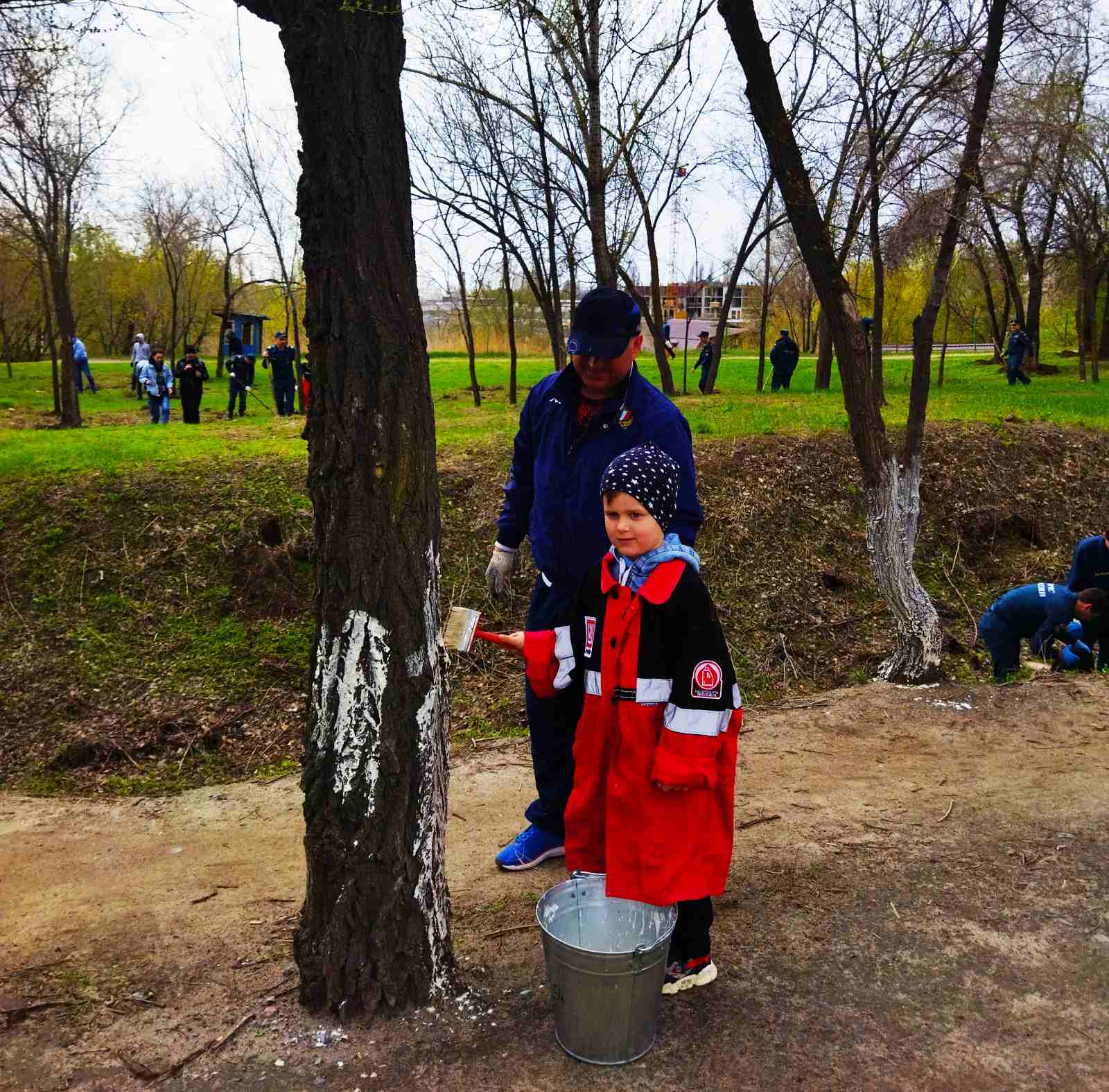 В Тракторозаводском районе Волгограда высадили 270 кустарников 