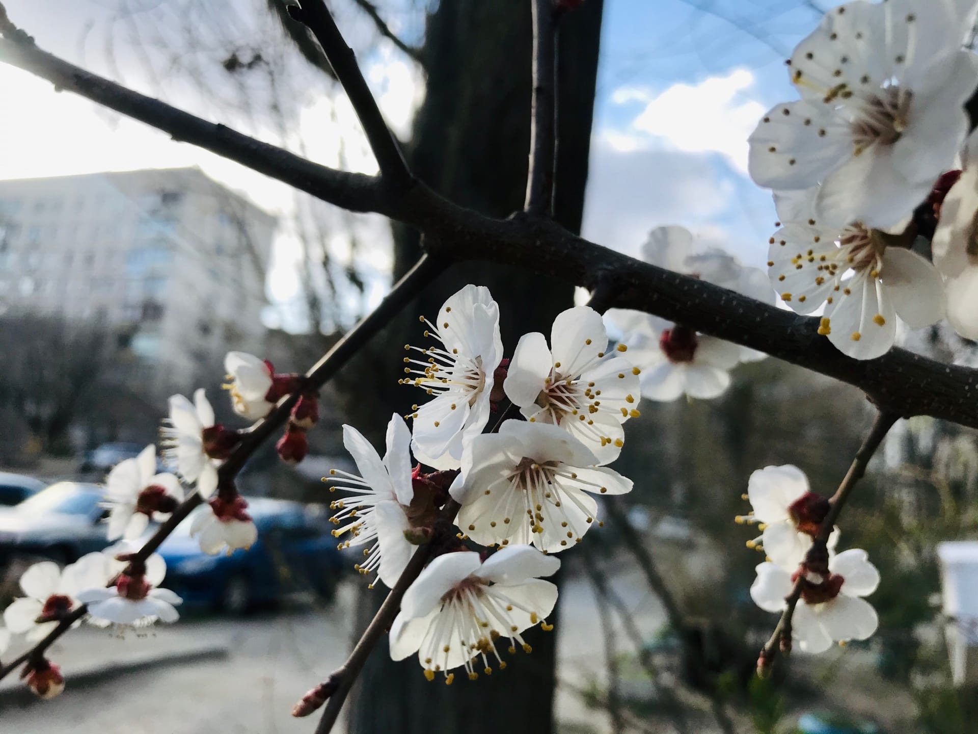 Снова ниже нуля: МЧС предупреждает о заморозках в Волгоградской области