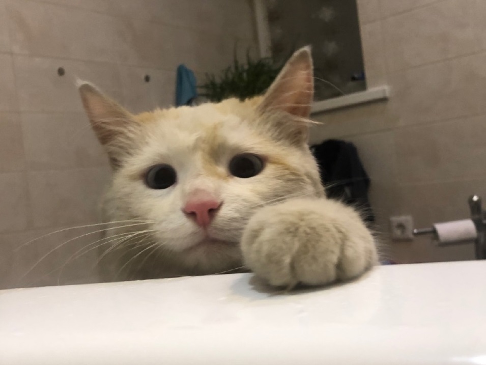 Три района Волгограда останутся без горячей воды на следующей неделе