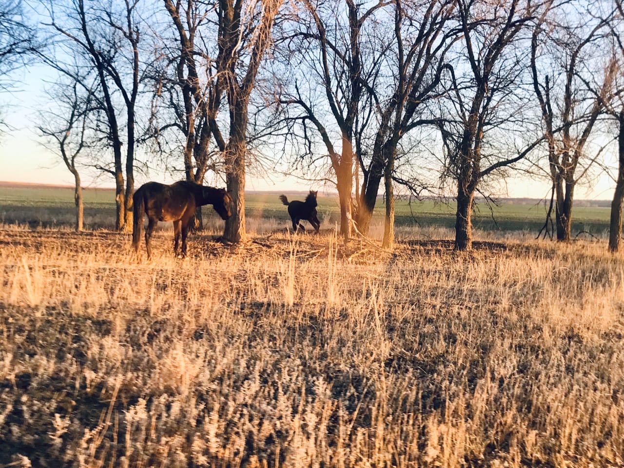 МЧС предупреждает волгоградцев о чрезвычайной опасности