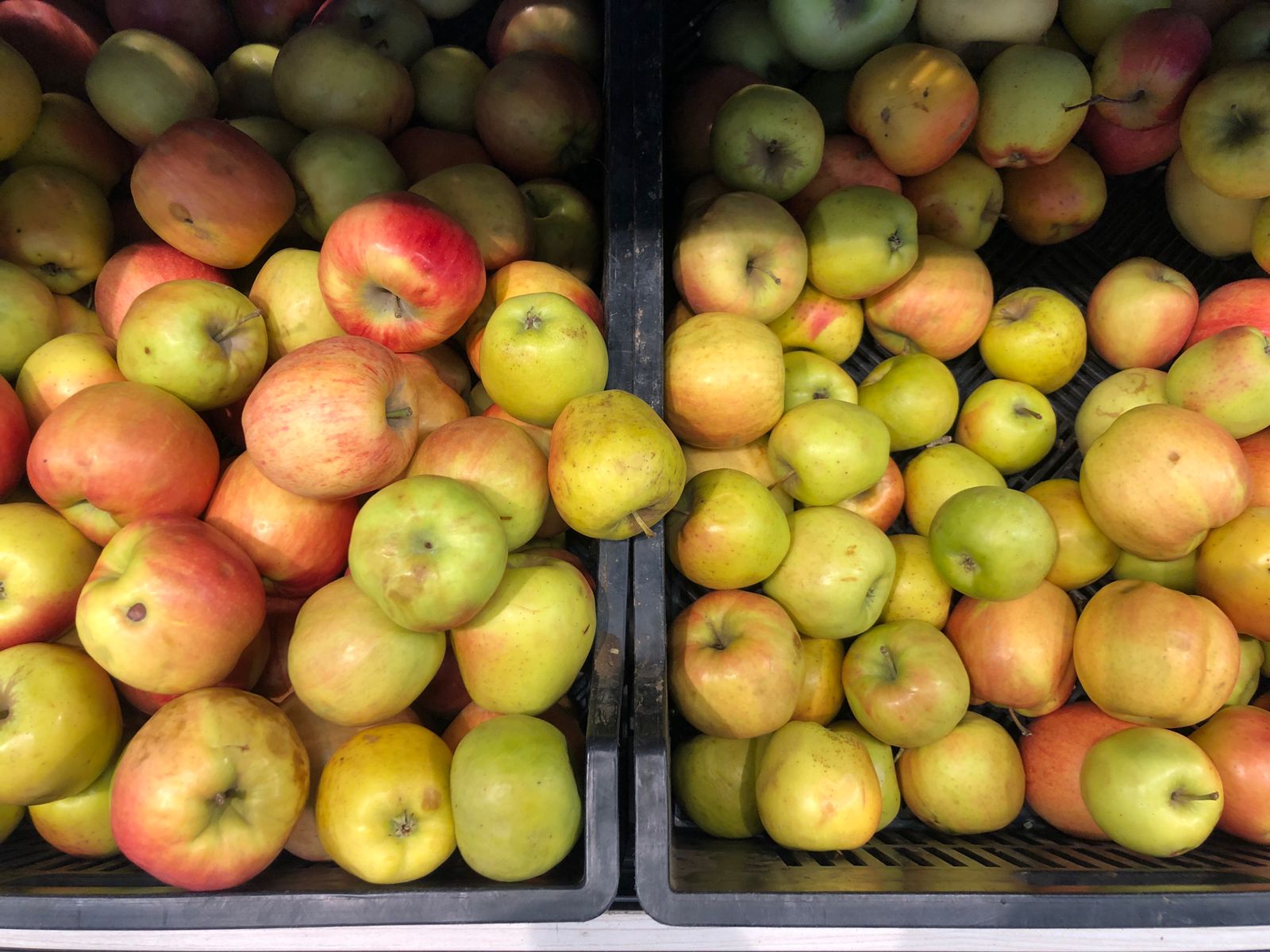 Спасибо, овощи: инфляция в Волгоградской области продолжила снижаться