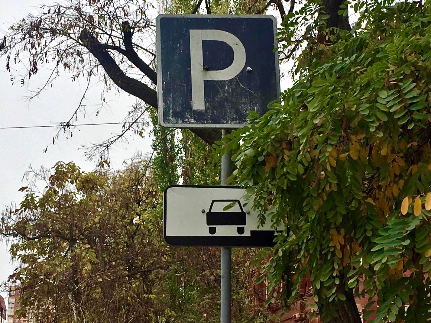 Под Волгоградом водитель «ВАЗ» сбил 69-летнюю пенсионерку