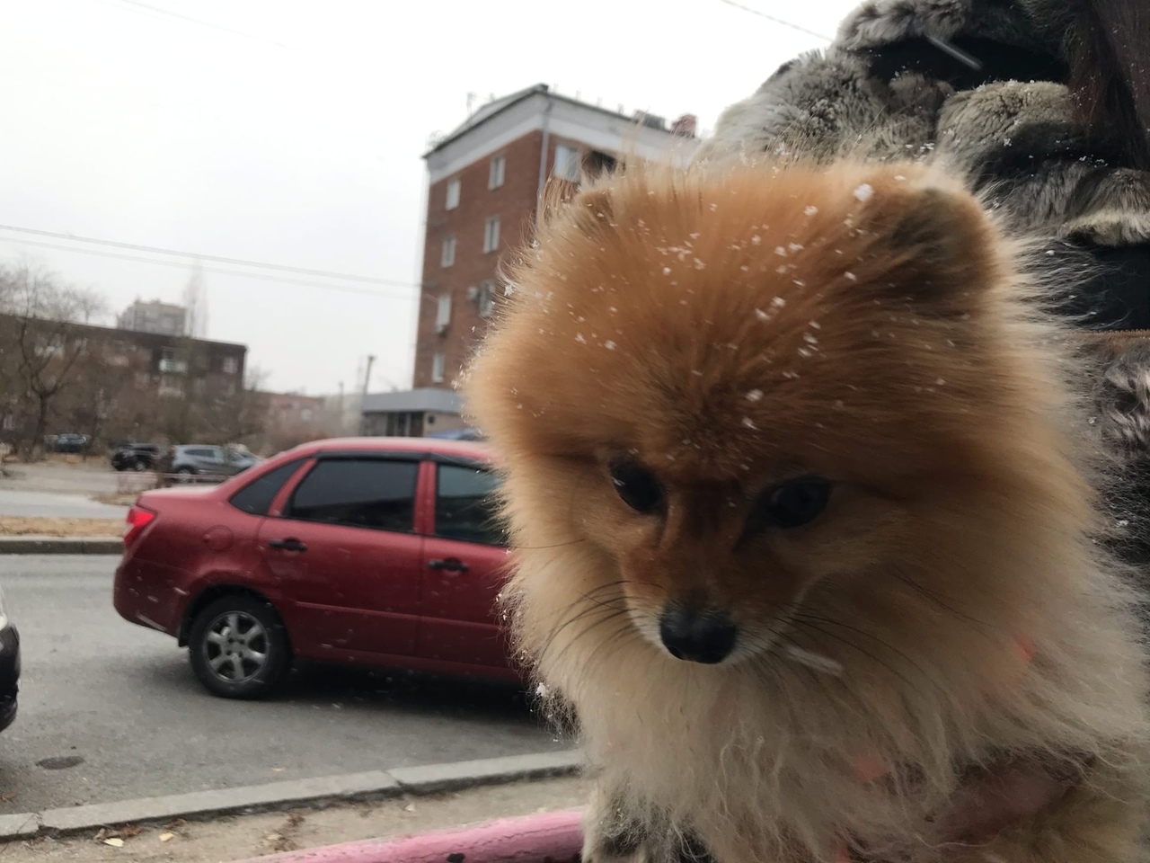 В Волгограде пошел первый снег