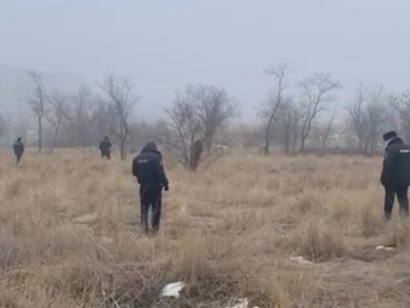 В Волгограде расследуется дело по факту убийства мужчины, останки которого растерзали бездомные собаки 