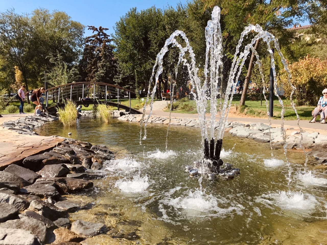 Точка поставлена: «Сосновый бор» снесут