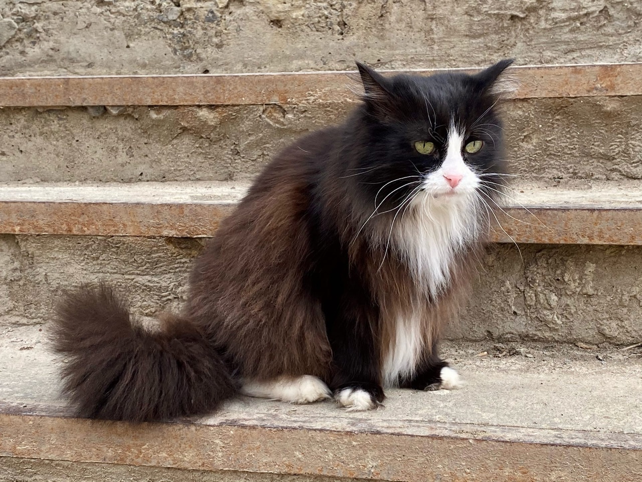 Коммунальная катастрофа в Волгограде: 27 многоквартирных домов остались без отопления