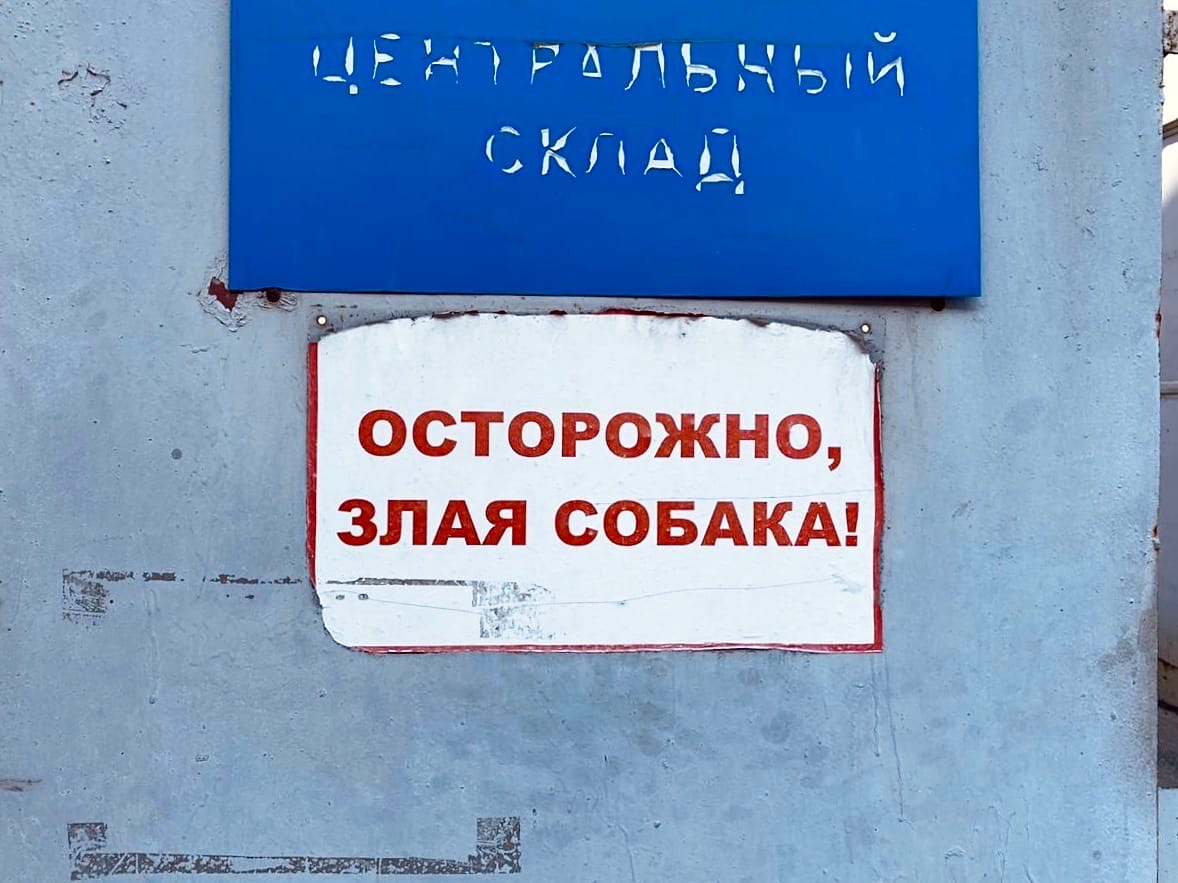 За мошенничество с немецкими овчарками осудили начальника охраны колонии под Волгоградом
