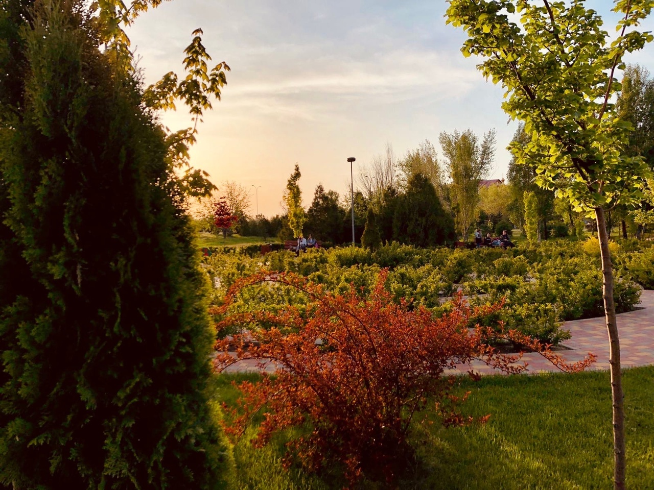 Волгоградцы назвали наиболее пригодные для жизни города региона