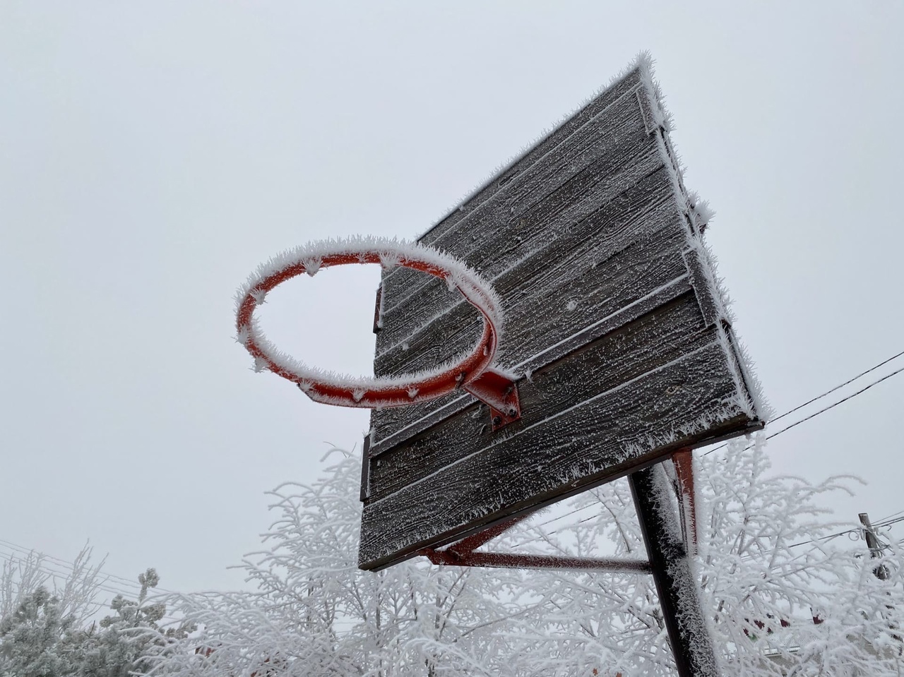 Метель в Волгограде и области задержится на несколько дней