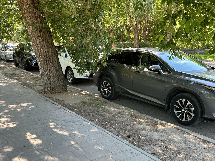 Волгоградские полицейские задержали угонщика авто