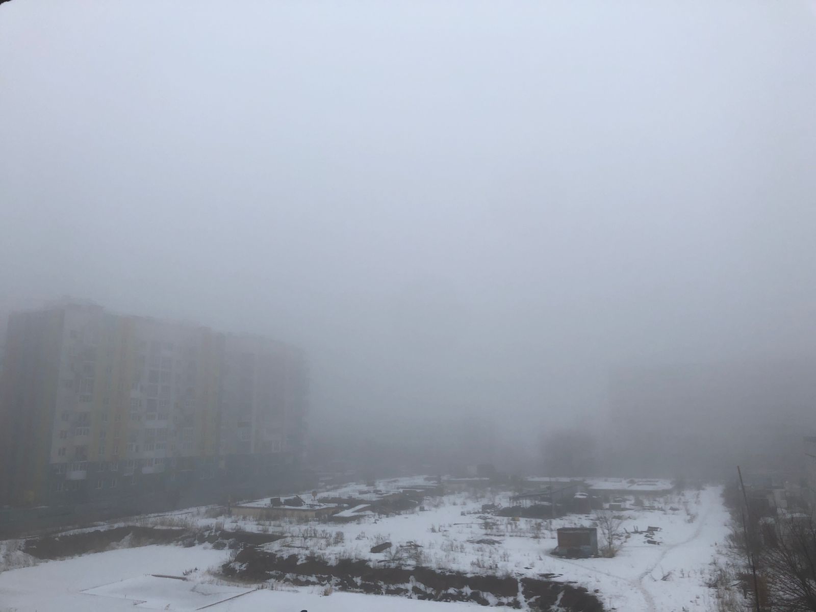 Волгоградскую область накрыл туман как из «Сайлент Хилл»