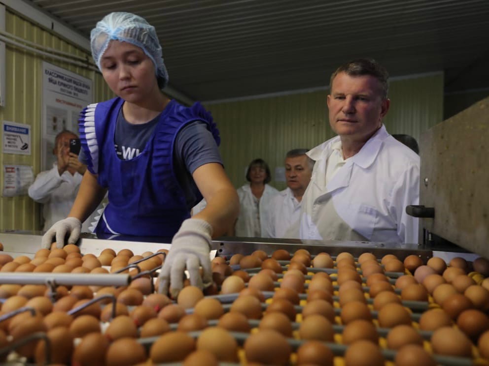 Олег Савченко посетил птицефабрику и рассказал, как производится один из самых популярных продуктов питания