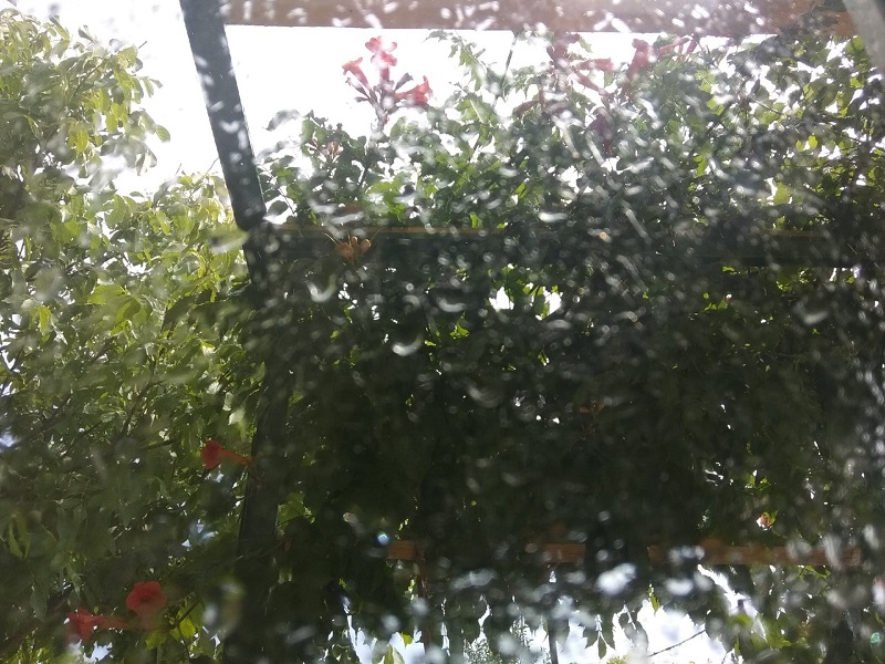 Молния бьёт в самую высокую точку: МЧС предупреждает волгоградцев об ухудшении погоды