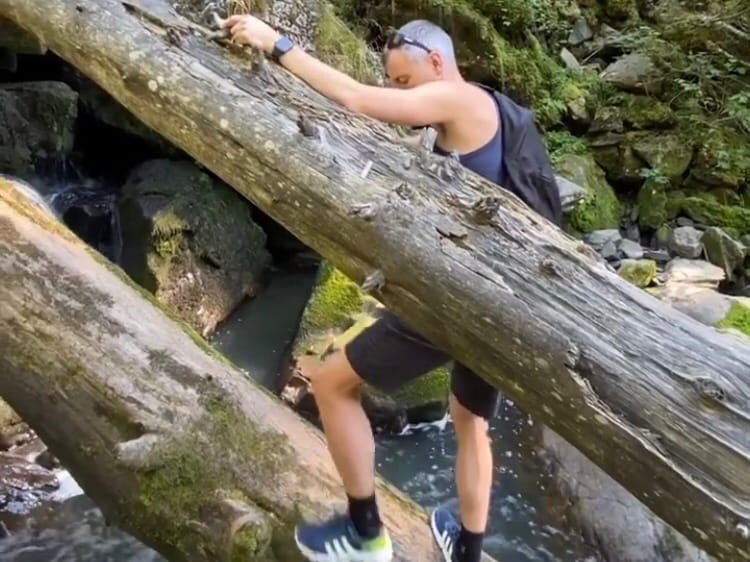 Волгоградского депутата Алексея Волоцкова отправили в Сибирь 