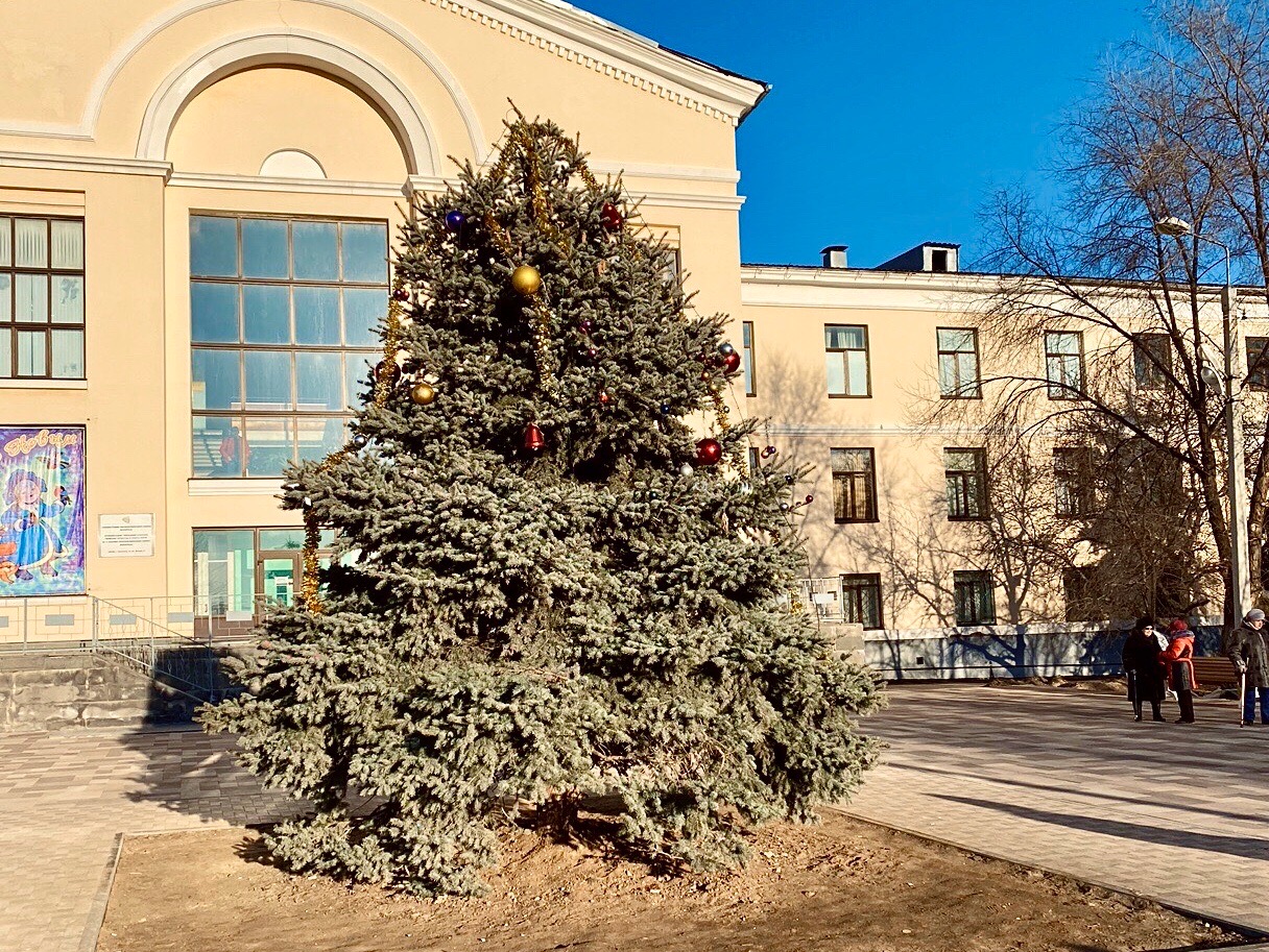 «Дети плачут, старики молятся»: украшения исчезли с елки в парке Волгограда