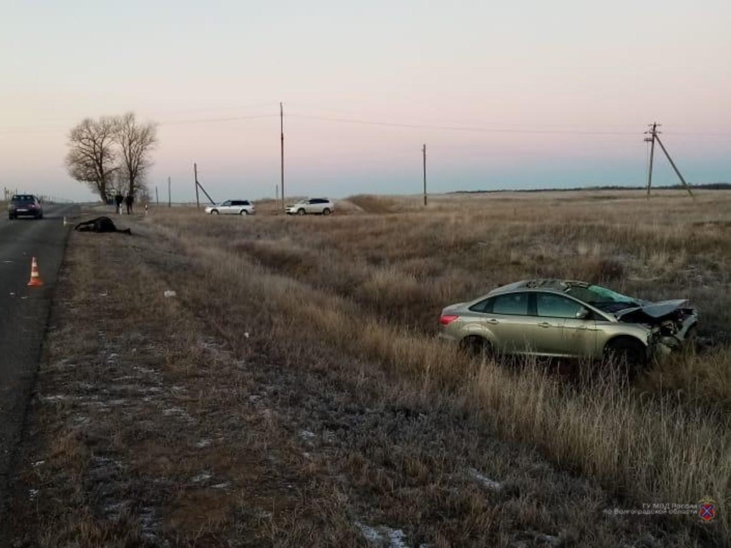 Водитель иномарки сбил лошадь и угодил в больницу в Волгоградской области