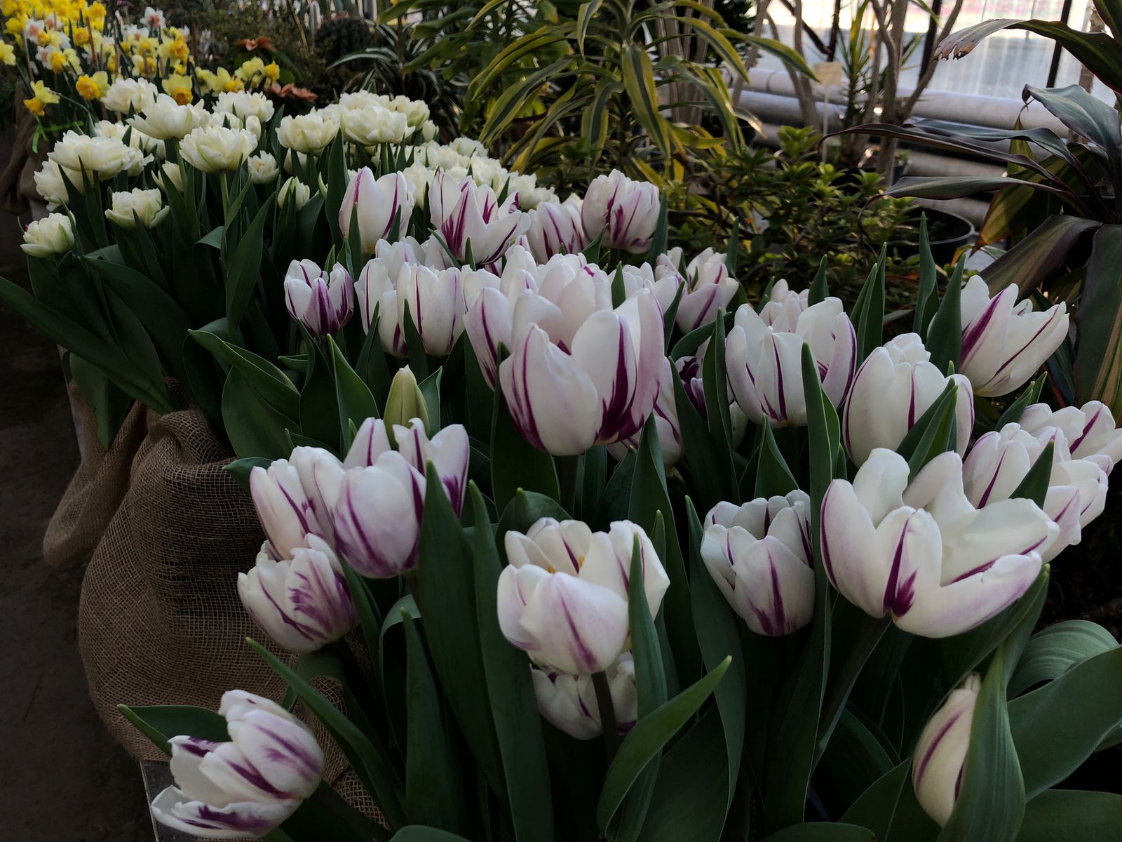 Весна начинает вступать в свои права в Волгоградской области