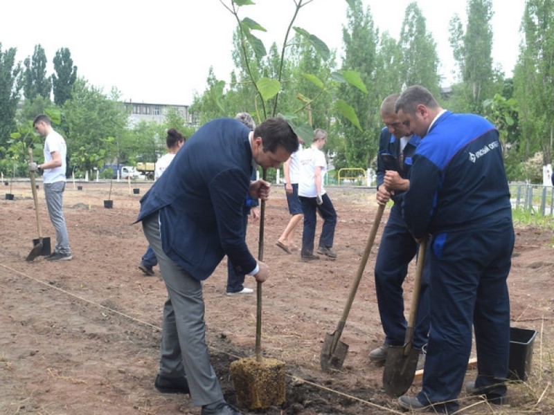 Цветущую нежно-фиолетовым «кислородную» аллею высадили в Волгограде