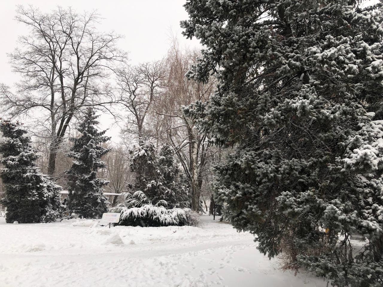 В Волгограде вновь похолодание