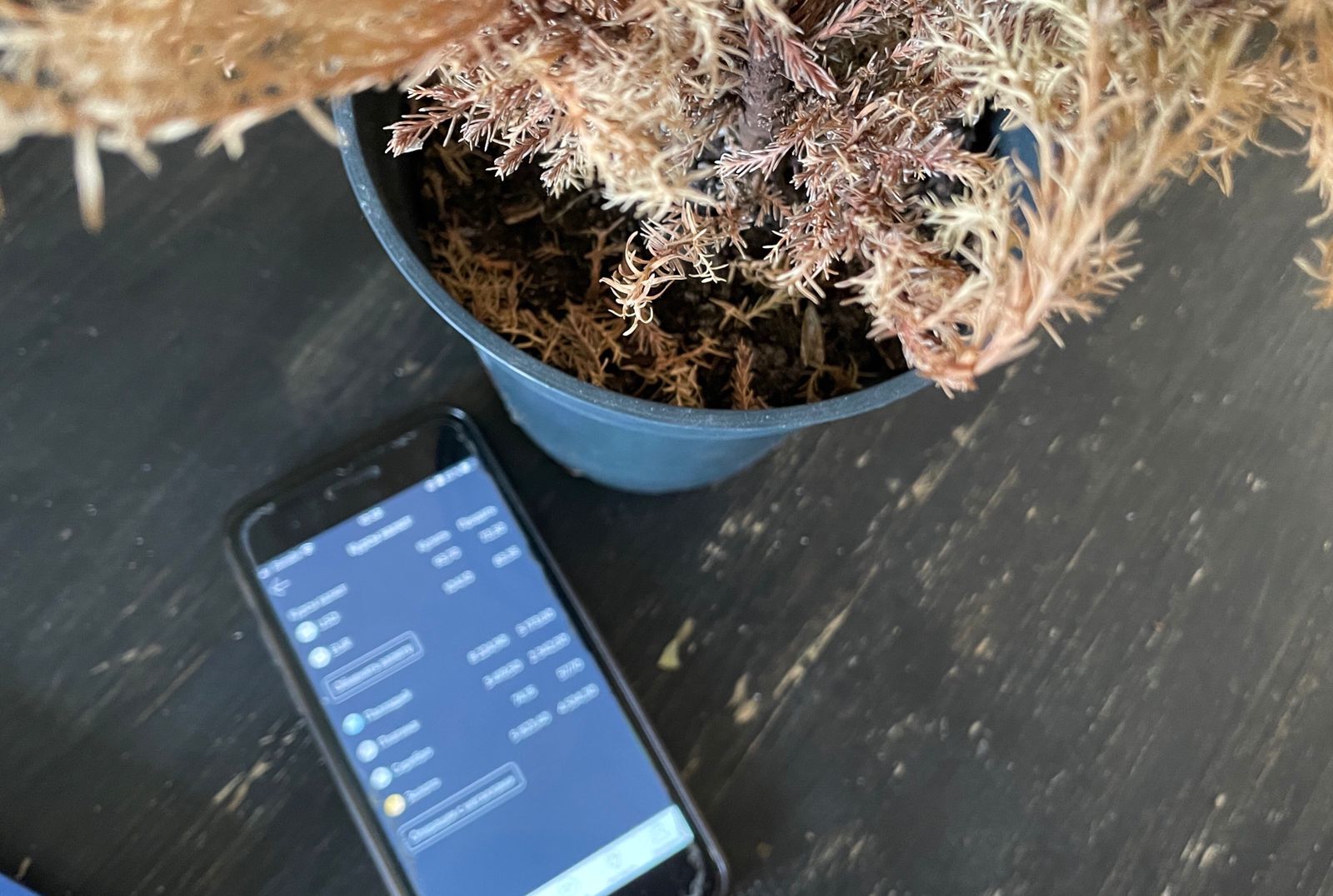 «Не надо скупать валюту»: вопреки ожиданиям волгоградцев доллар не взлетел