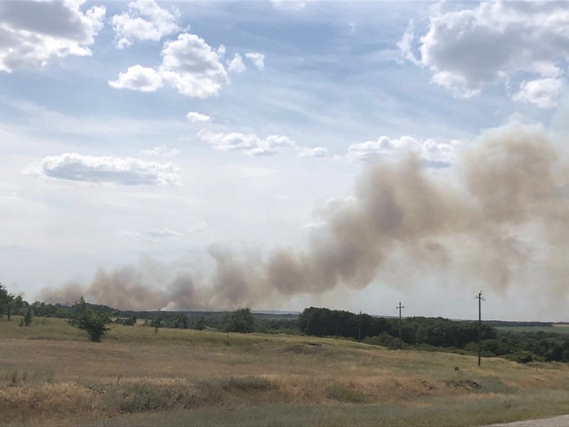Молния спалила пшеничное поле в Волгоградской области 