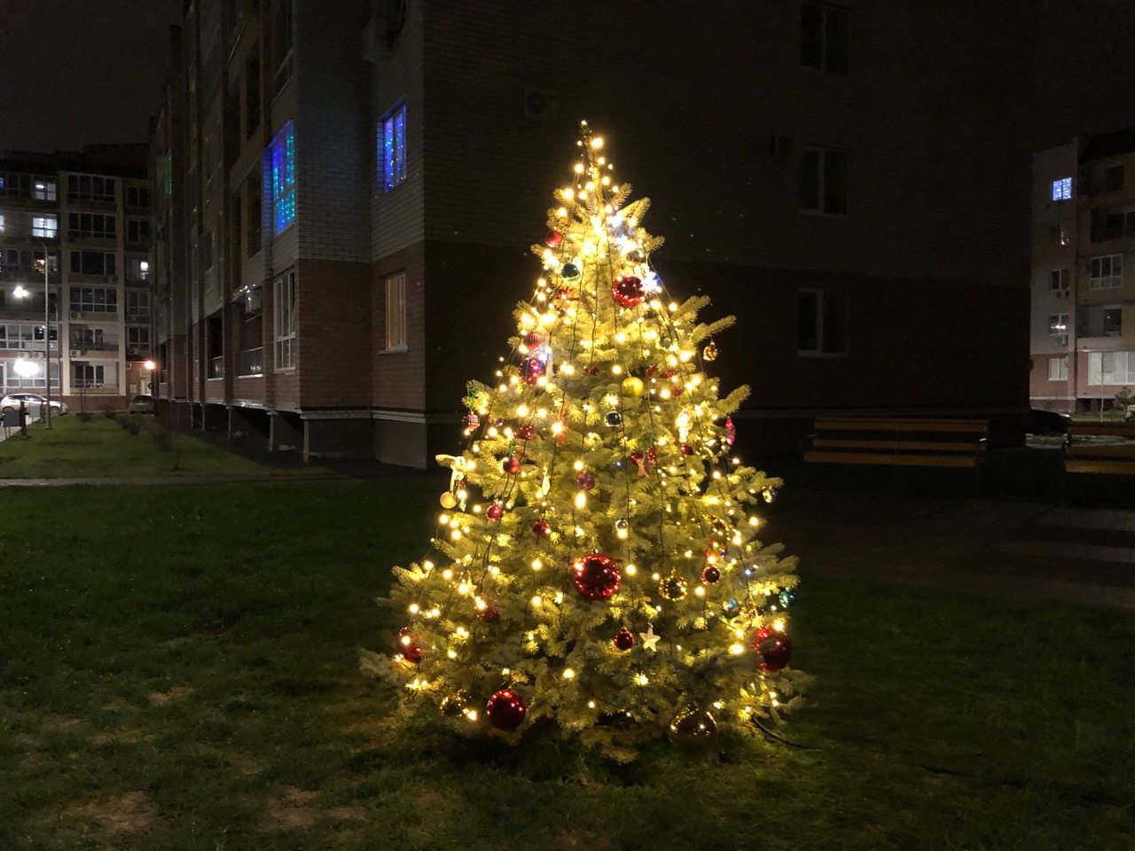 Плюсовая температура и снег с дождем: погода на первый рабочий день недели в Волгограде