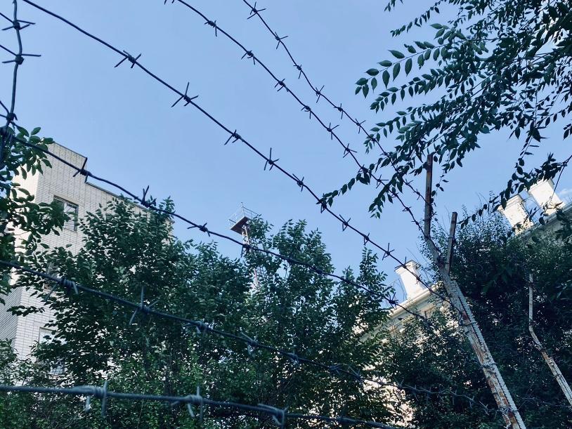 Стало известно, куда чиновники потратили деньги на борьбу с преступностью