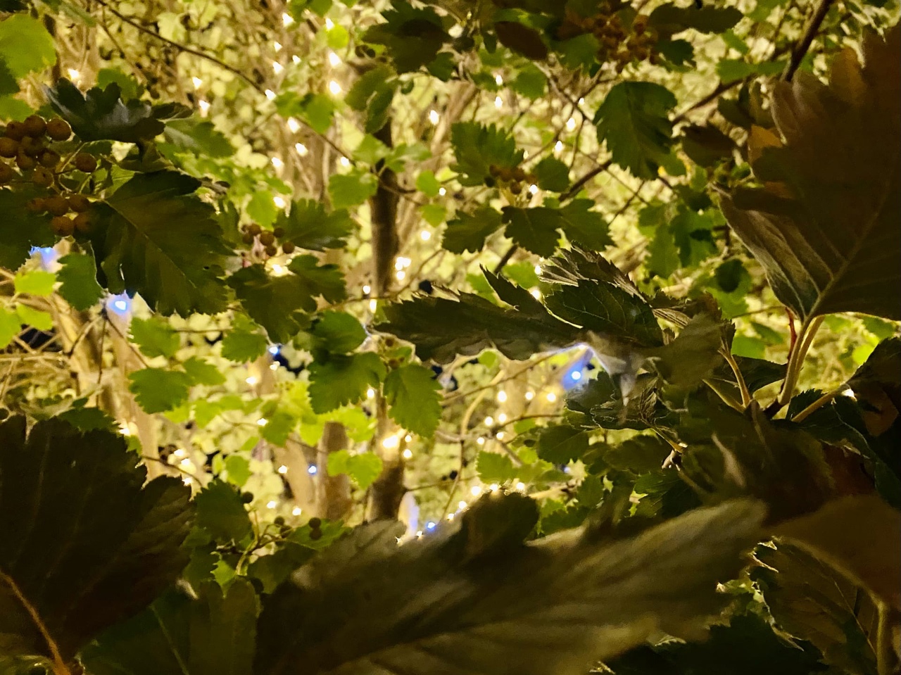 Массовое отключение электричества в шести районах Волгограда пройдет 27 августа 