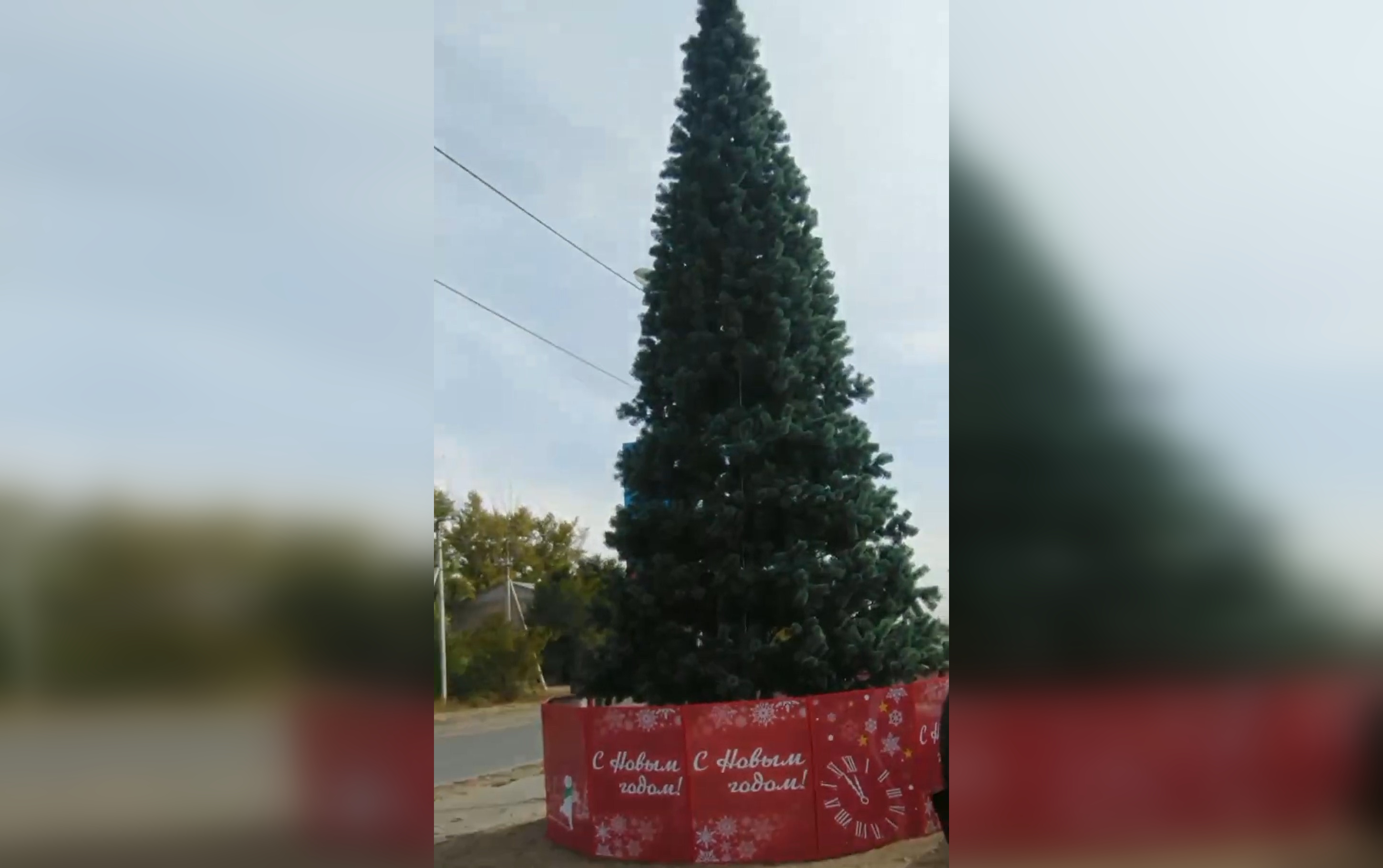«С Новым годом!»: посреди Калача-на-Дону волгоградец обнаружил праздничную ель